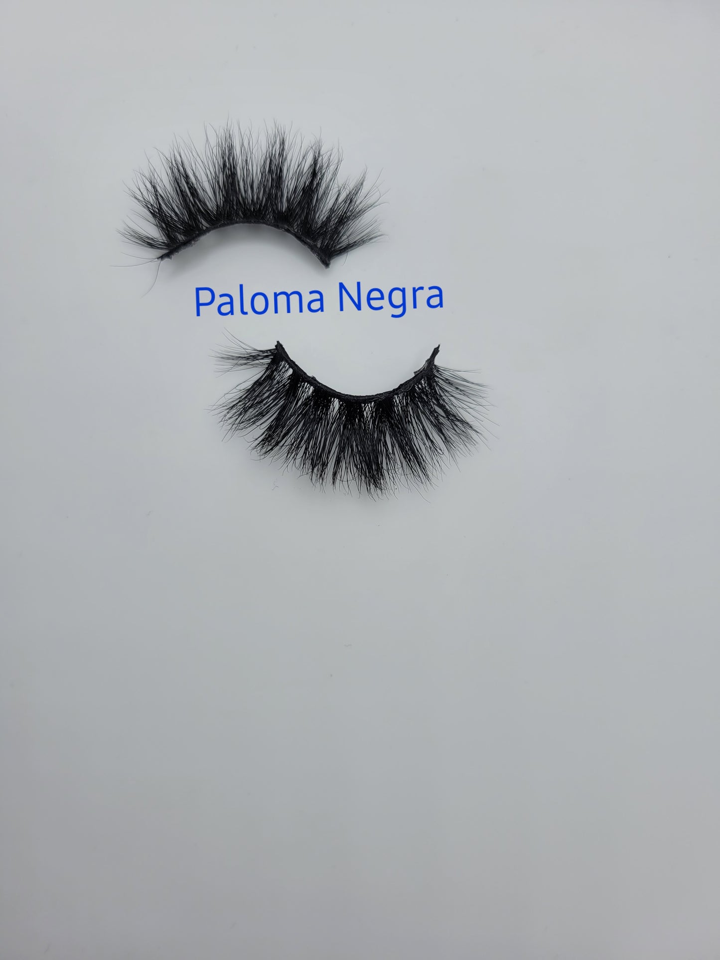 Paloma Negra