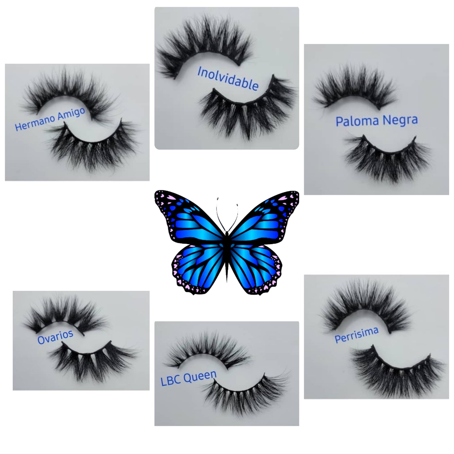 Jenni Collection