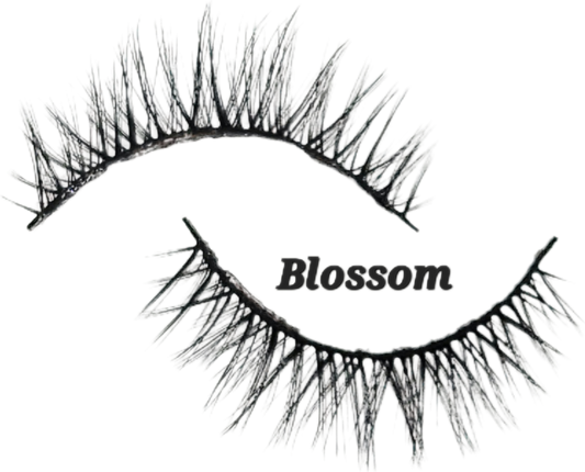 Blossom